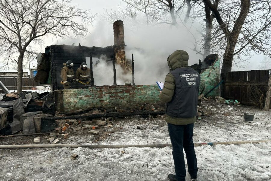 Четыре ребенка вместе с матерью погибли в пожаре под Новосибирском