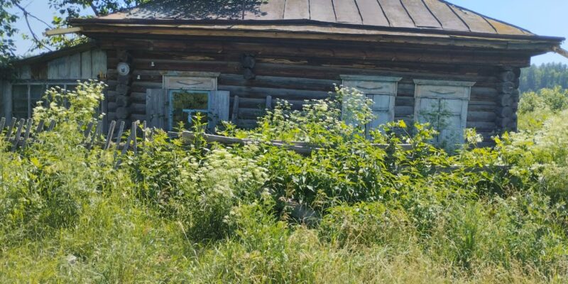 Численность жителей Новосибирской области за год сократится на 6,5 тысяч человек