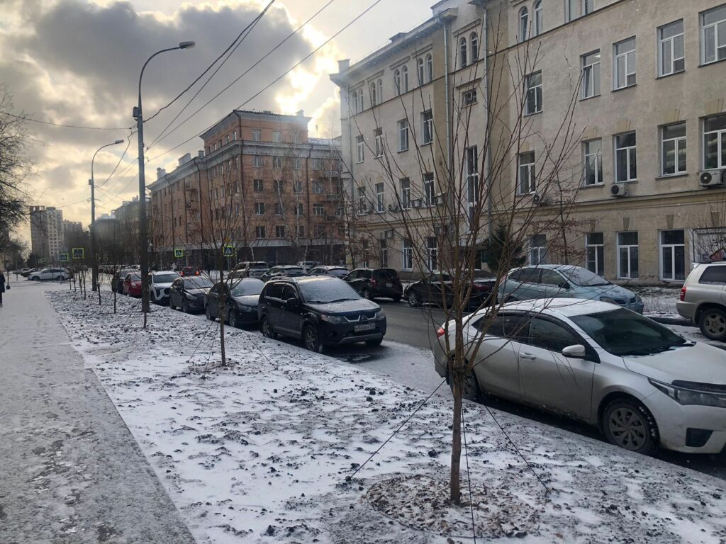 В центре Новосибирска, на улице Урицкого, высадили более 150 деревьев и сотни кустарников 