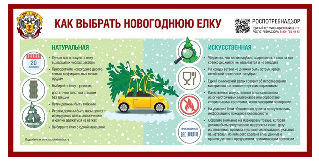 Рекомендации по выбору ёлки дал Роспотребнадзор новосибирцам