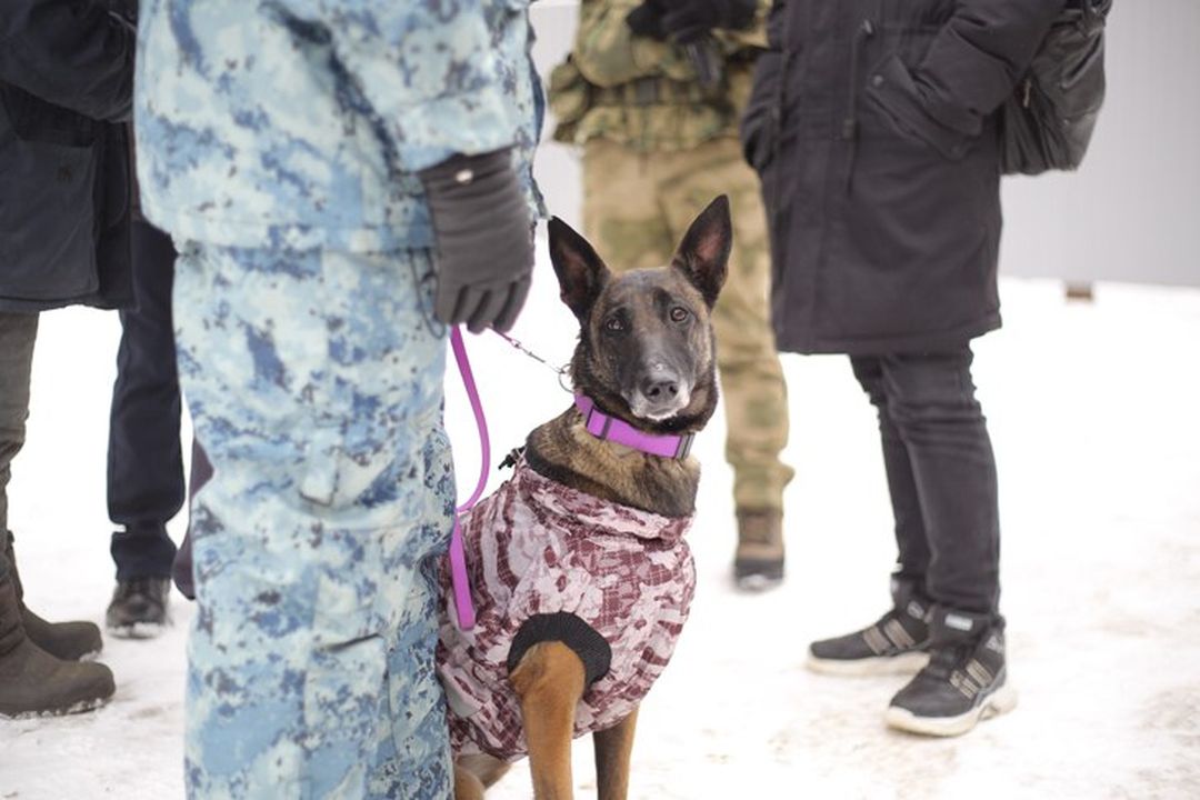 «Всем мордой в пол!»: облаву на мигрантов устроил СОБР на территории бывшего дисбата в Новосибирске
