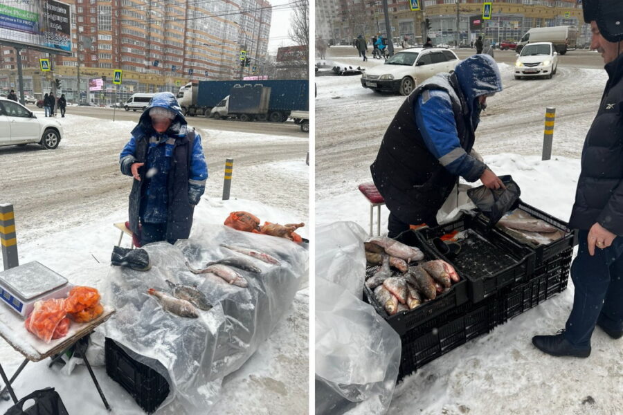 «Сомнительную» рыбу изъяли у уличного продовца в Новосибирске