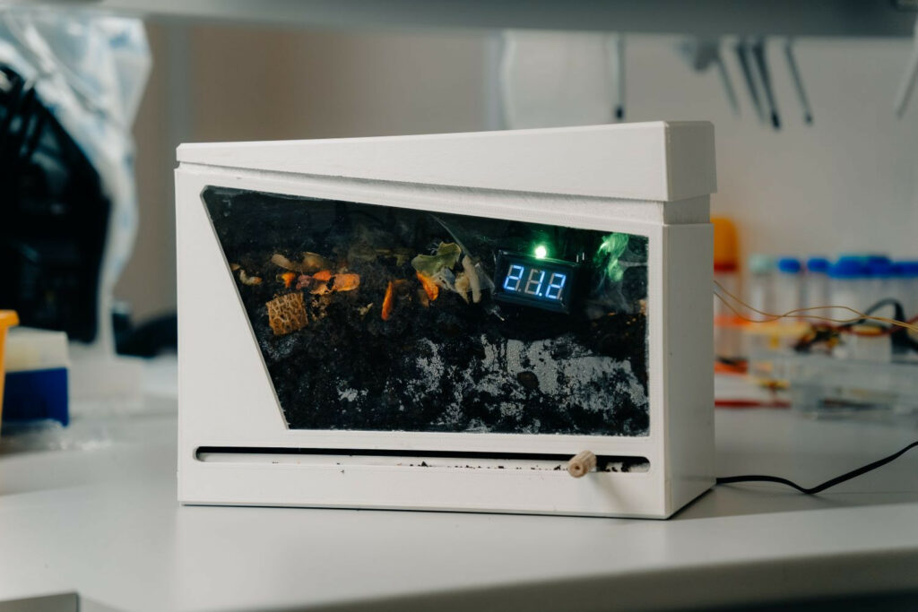 Новосибирские ученые создали умный дом для калифорнийских червей