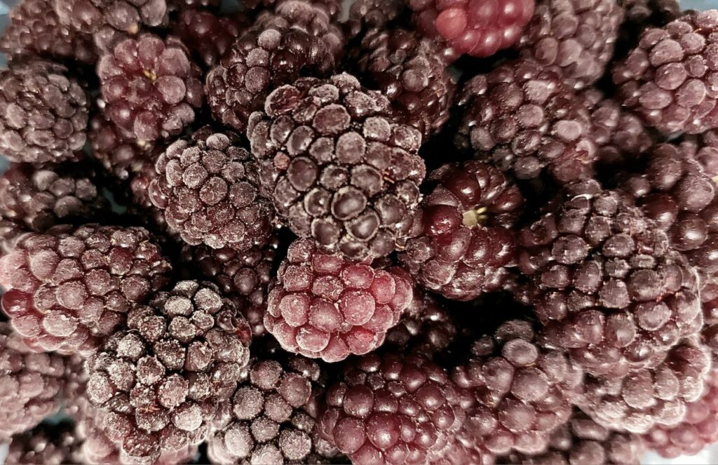 Новосибирские импортеры завезли более 23 тонн замороженной ягоды