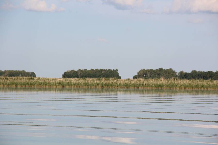 Новосибирское озеро Чаны попало в российский топ антистресс-локаций