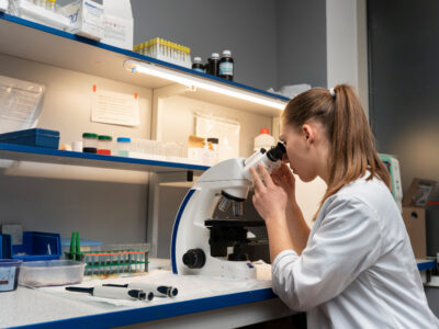 Новосибирские ученые получили потомство из замороженного при диапаузе эмбриона