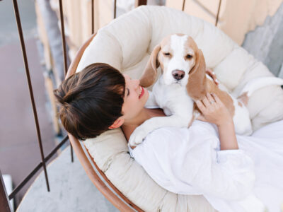 В новосибирских отелях разрешат останавливаться гостям с домашними питомцами