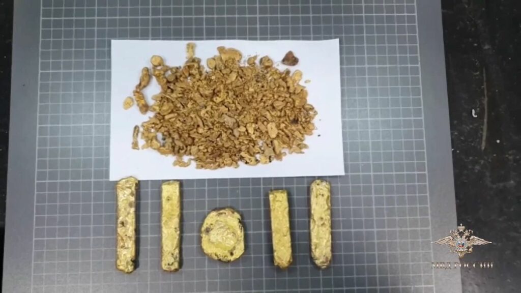 В Толмачево задержаны иностранцы за попытку вывезти золото и серебро на 16 млн