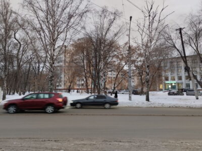 В 2024 году владельцы немецких машин чаще проверяли историю автомобиля