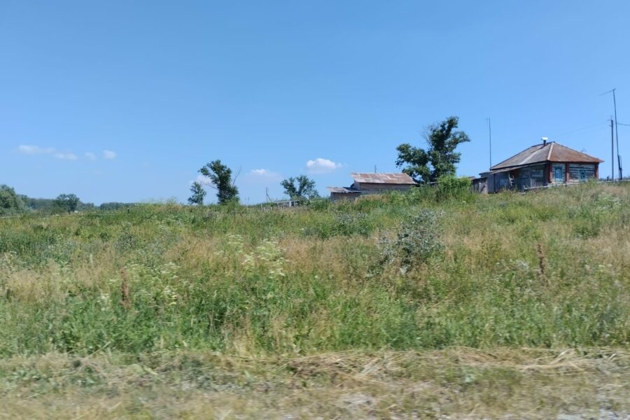 Около 1700 многодетных получили деньги вместо земли в Новосибирске