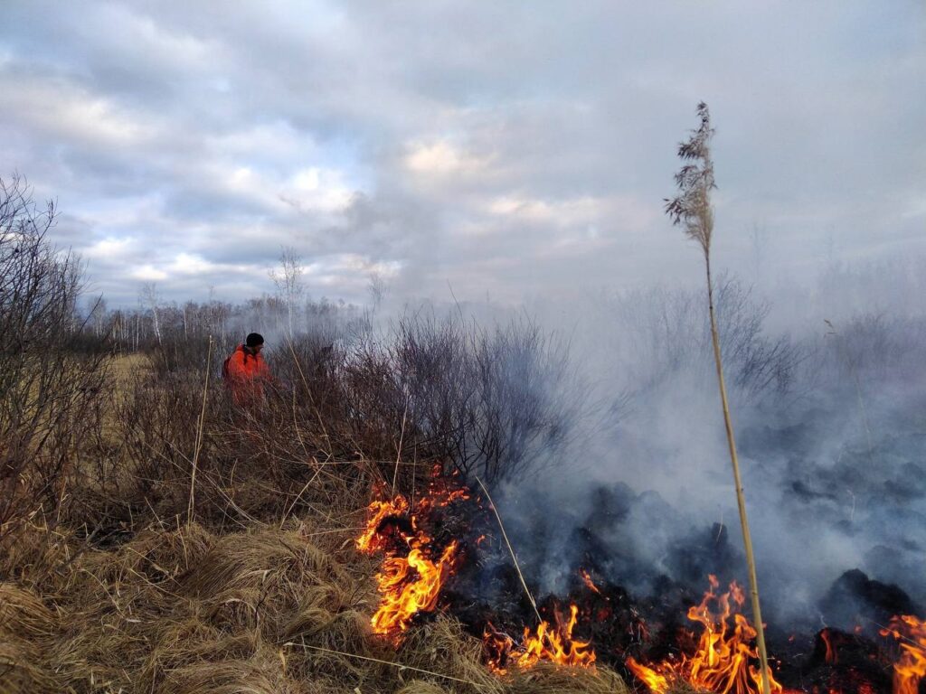 Новые беспилотники для мониторинга лесных пожаров получит Новосибирская область