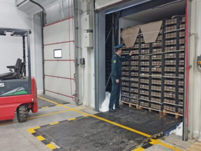 С начала года поступило более 2 тыс тонн импортных фруктов и овощей в Новосибирск