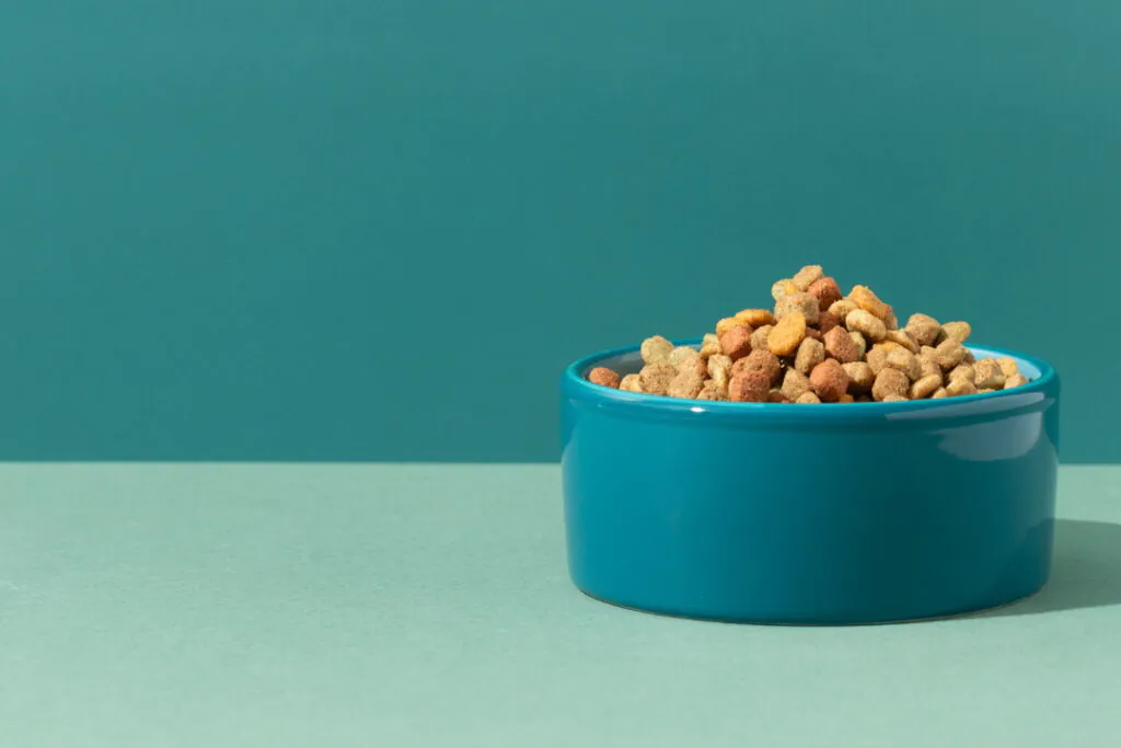 Несколько собак остались на улице после расселения барака в Новосибирске