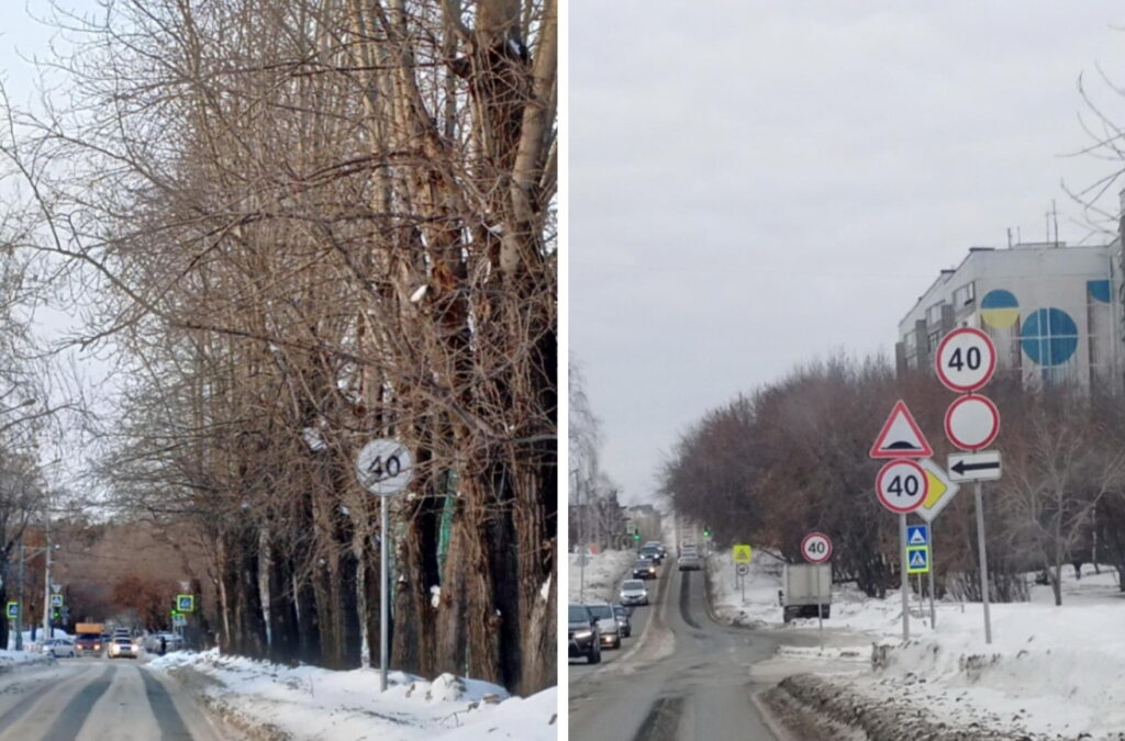 Множество лишних дорожных знаков нашли в Новосибирске