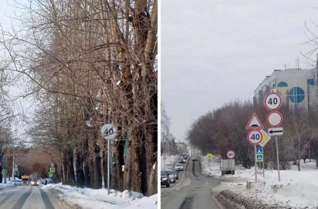 Множество лишних дорожных знаков нашли в Новосибирске