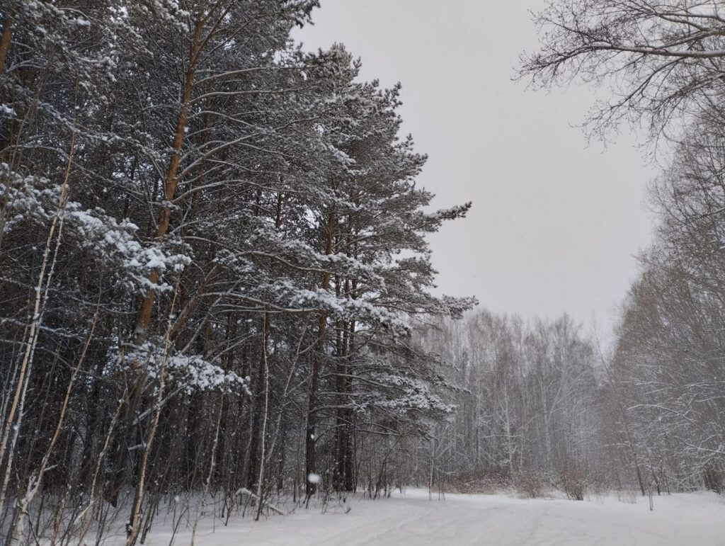 Экстремальные экскурсии привлекают туристов в Новосибирскую область