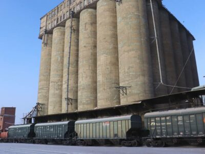 Две компании обеспечили резкий рост экспорта зерна из Новосибирской области