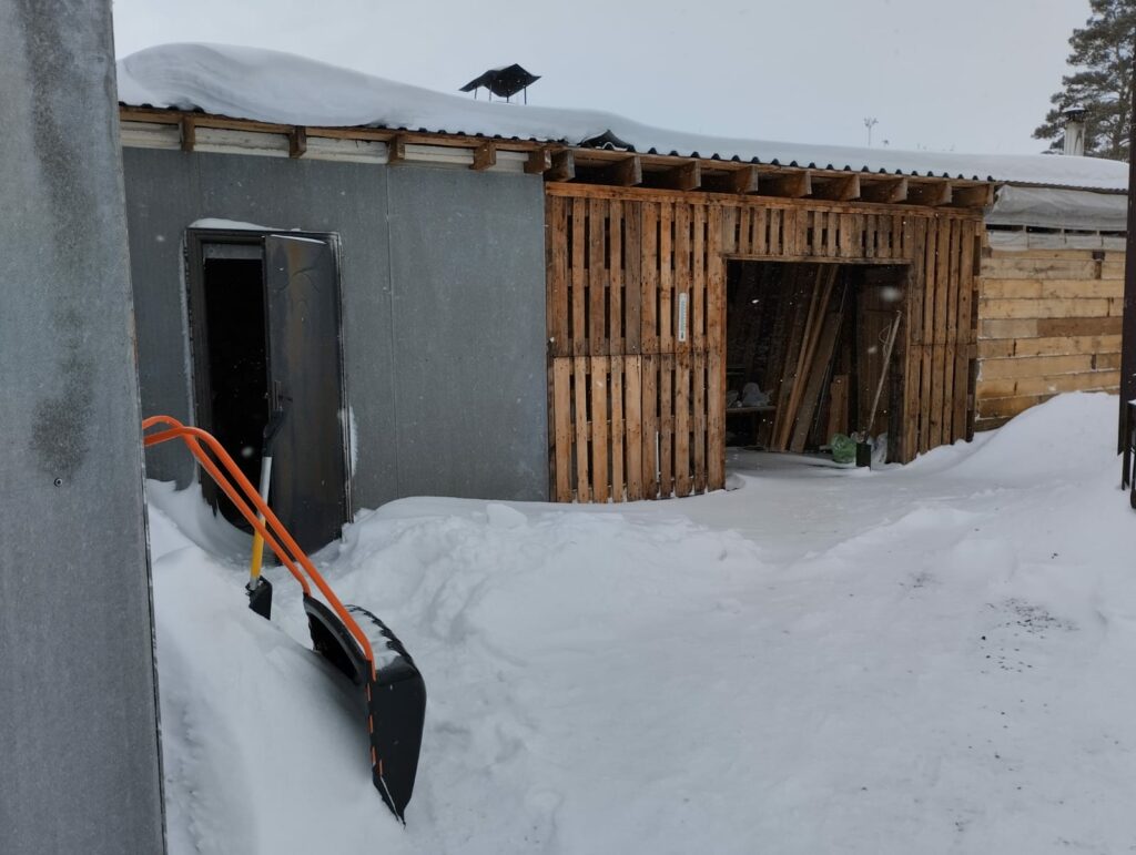 Бесплатно оформить хозяйственные постройки в собственность предлагают новосибирцам