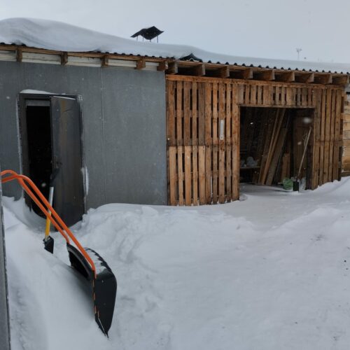 Бесплатно оформить хозяйственные постройки в собственность предлагают новосибирцам