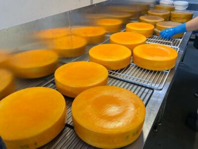 Почти четыре тысячи тонн сыра произвели за год новосибирские компании