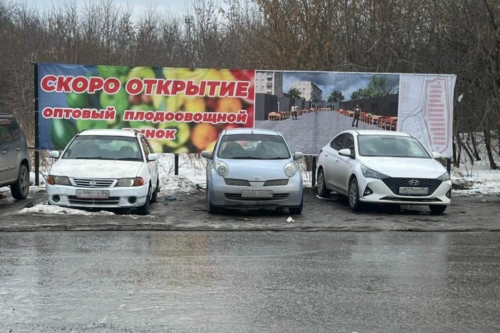 «Вырубить этот лес»: будущие торговцы Хилокского 2.0 в Новосибирске уже бронируют места