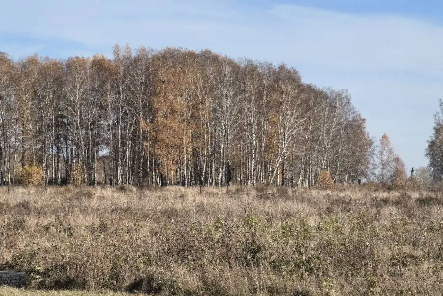 Доли в 700 земельных участках в Новосибирской области пересчитают