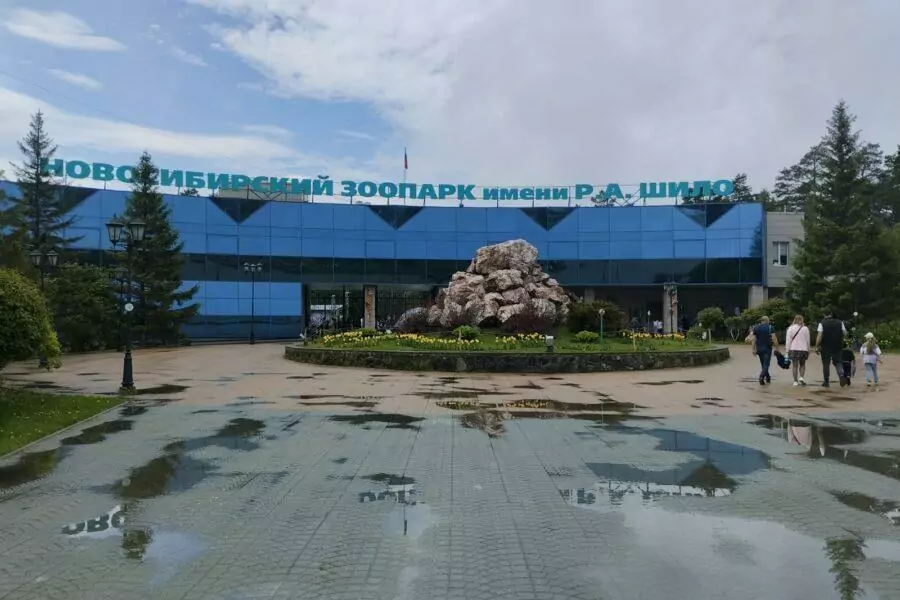 Выручка новосибирского зоопарка сократилась на десятки миллионов