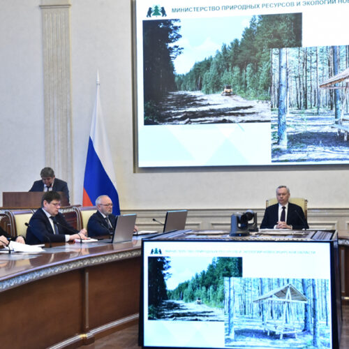 Андрей Травников: предотвращать пожары намного эффективнее, чем гасить