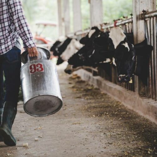 Призывники могут вместо службы доить коров и работать артистами балета