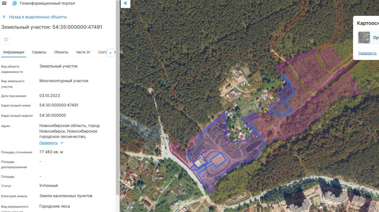 участок Заельцовский бор