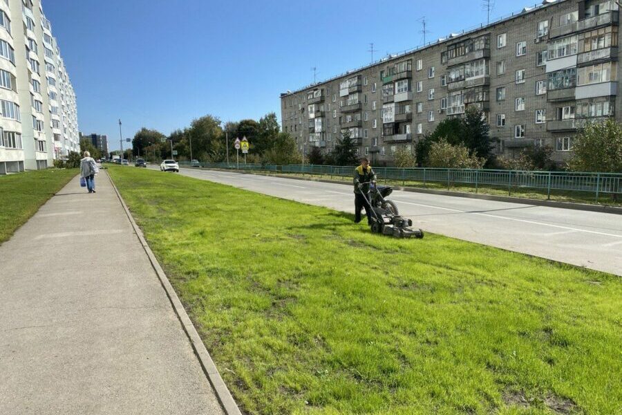В Новосибирске определены улицы, где этим летом улучшат состояние газонов