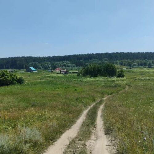 Новосибирцы жалуются на дорогие участки под ИЖС в районах области