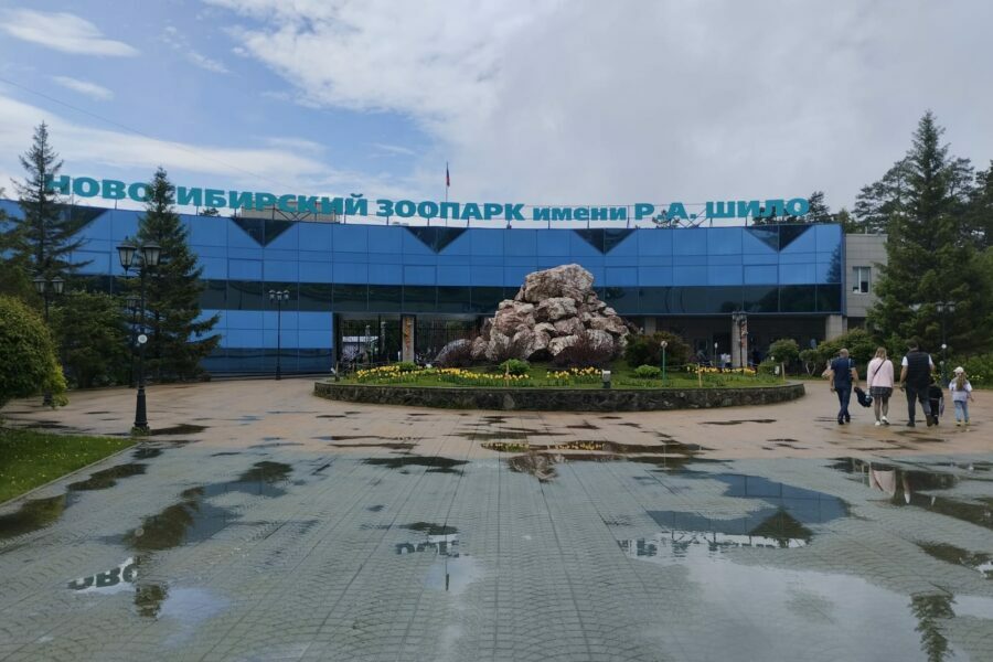 Новосибирский зоопарк рассказал, сколько стоит будущая ветклиника