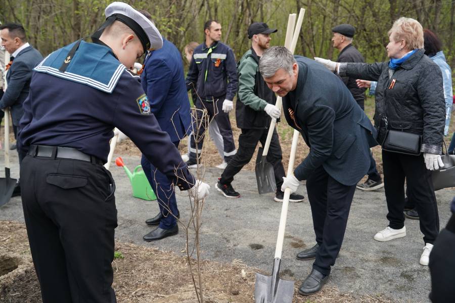 акция в дендропарке