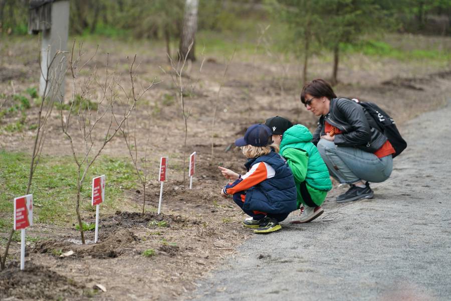 дети и Сиреневый сад