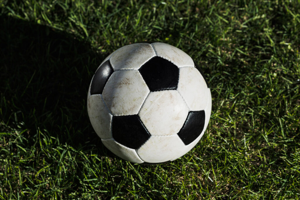 В Новосибирской области избран новый президент федерации футбола