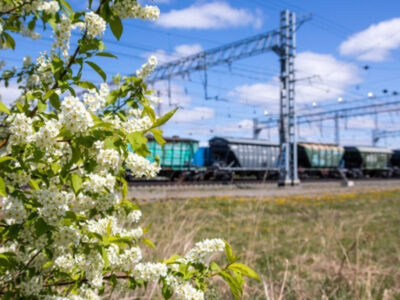 На ЗСЖД более чем в два раза выросла погрузка зерна