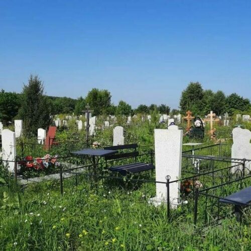 Новосибирская область на втором месте в Сибири по смертности