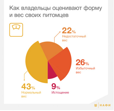 Большинство владельцев кошек и собак не считают ожирение питомцев проблемой