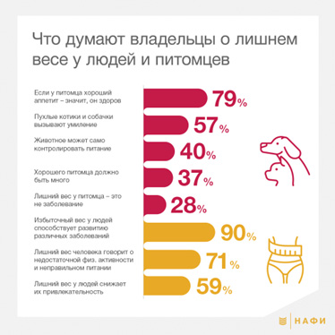 Большинство владельцев кошек и собак не считают ожирение питомцев проблемой