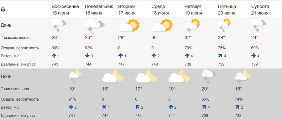 Ливни, грозы, аномальная жара: новосибирцев предупредили о погодной пытке на предстоящей неделе