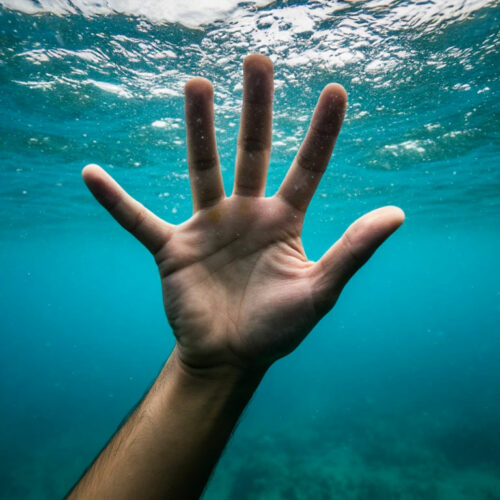 Пять человек, включая ребенка, погибли в Новосибирской области за неделю