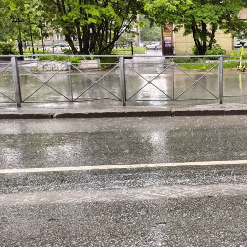 В Новосибирске неделя завершится дождями