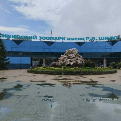 Губернатор Новосибирской области поручил улучшить транспортную доступность зоопарка