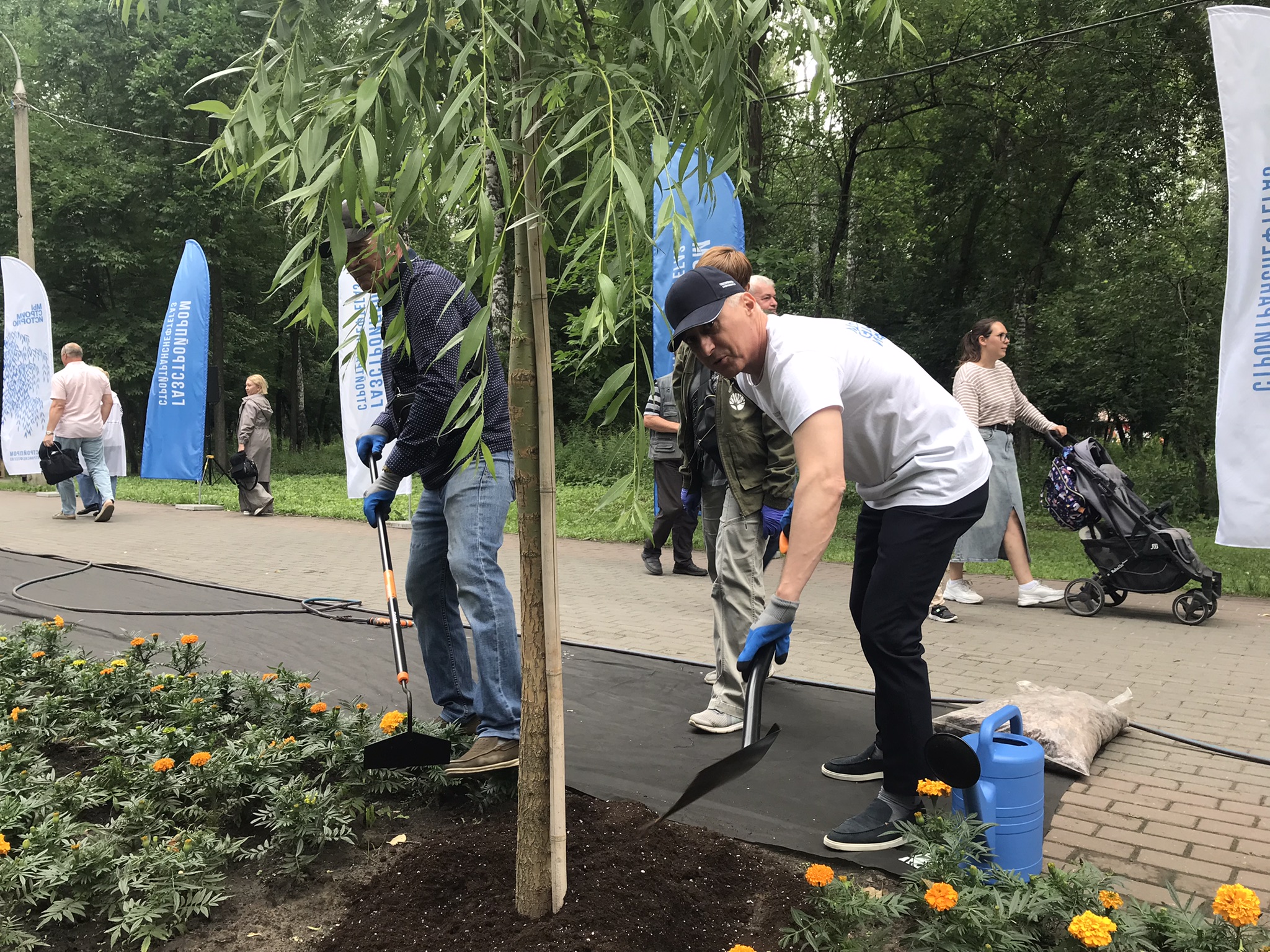 Сотрудники «Стройтранснефтегаза» заложили новую аллею в Новосибирске