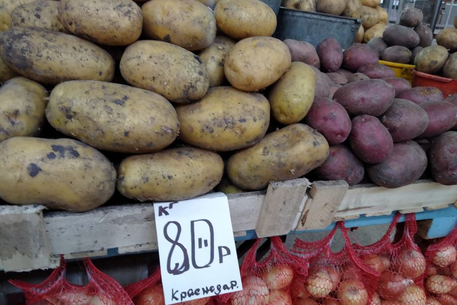 В Новосибирске цена на картофель нового урожая достигла 200 рублей за килограмм 