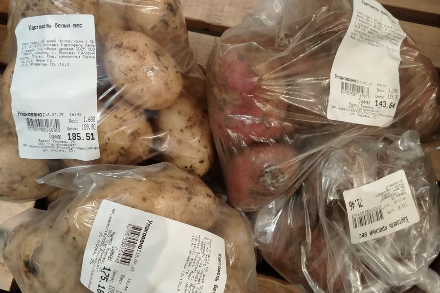 В Новосибирске цена на картофель нового урожая достигла 200 рублей за килограмм 