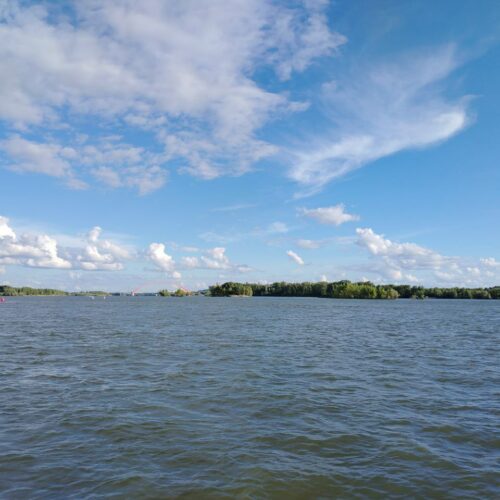 Пробы воды из Оби вызывают тревогу у жителей Новосибирска