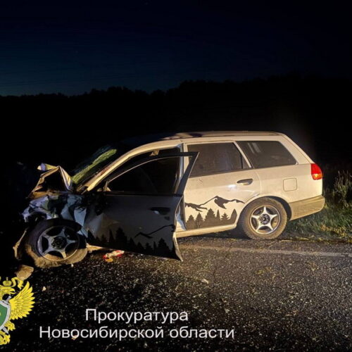 Два подростка погибли в ДТП, выехав на встречную полосу, под Новосибирском