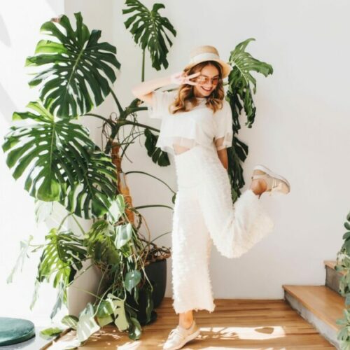 Календарь лунных фаз для любителей комнатных растений на август 2025